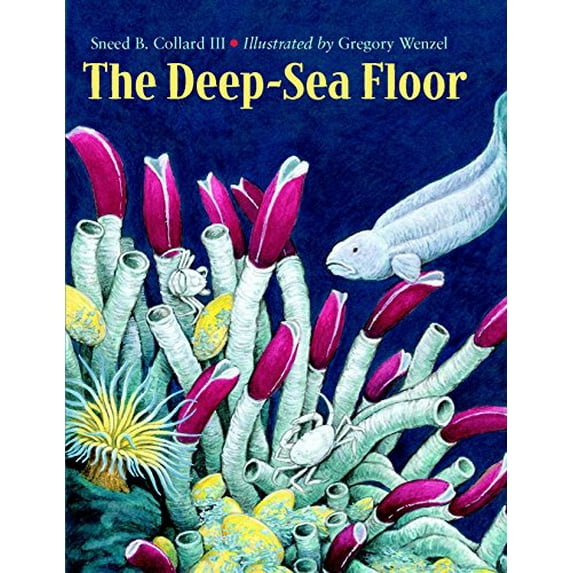 Pre-Owned The Deep-Sea Floor Paperback Sneed B. Collard III