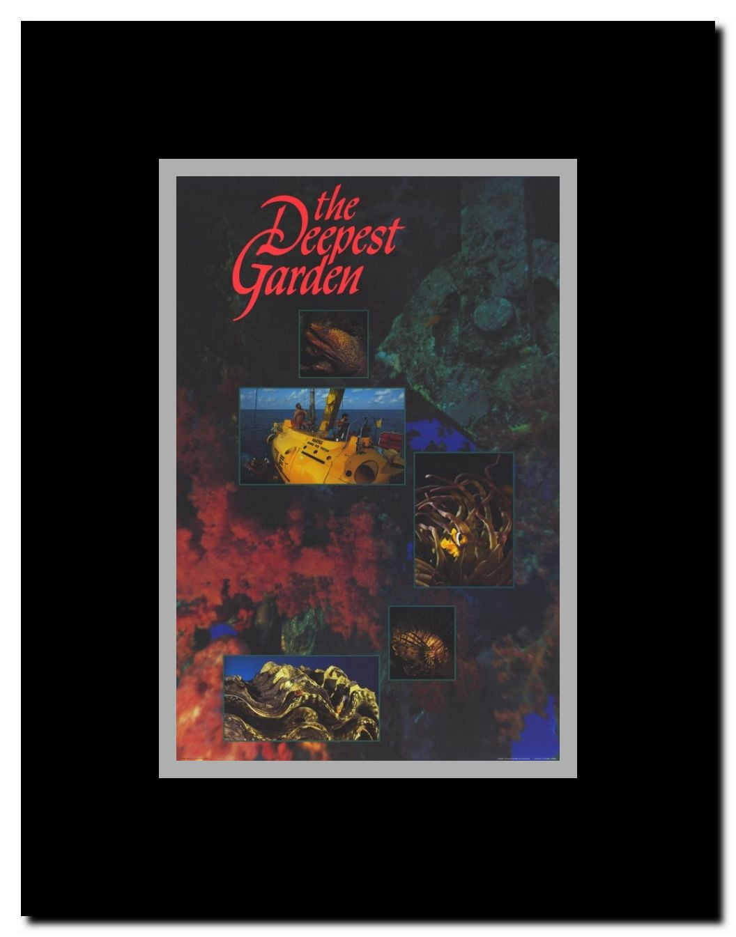 The Deepest Garden (IMAX) Framed Movie Poster