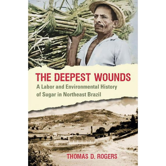 The Deepest Wounds: A Labor and Environmental History of Sugar in Northeast Brazil, (Paperback)