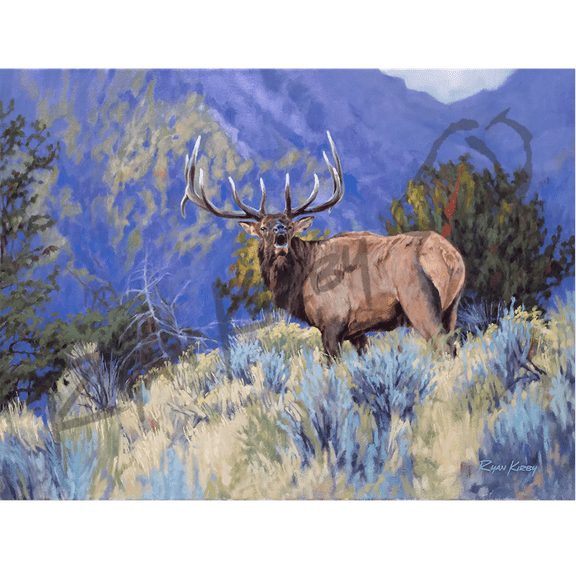 "The Defender" Bull Elk Canvas Art Print