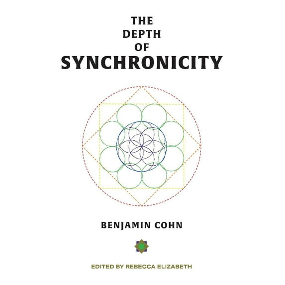 The Depth of Synchronicity (Paperback)