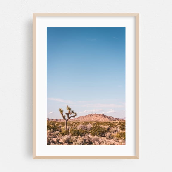 The Desert - Yucca Valley California Photography Oak Framed Wall Art Print 24 x 36 inches