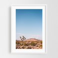 thumbnail image 1 of The Desert - Yucca Valley California Photography White Framed Wall Art Print 24 x 36 inches, 1 of 3