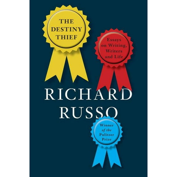 The Destiny Thief (Hardcover)