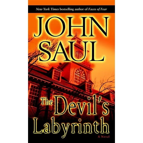 Pre-Owned The Devil's Labyrinth : A Novel (Paperback)
