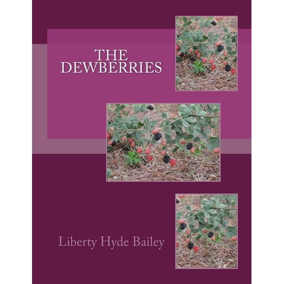 The Dewberries (Paperback)