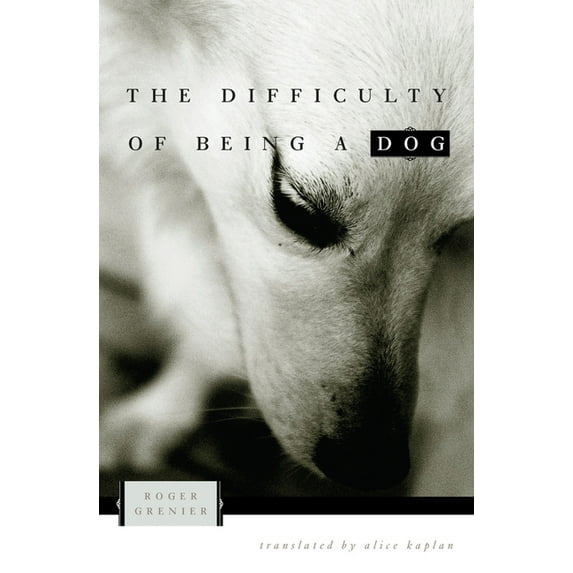 The Difficulty of Being a Dog, (Paperback)