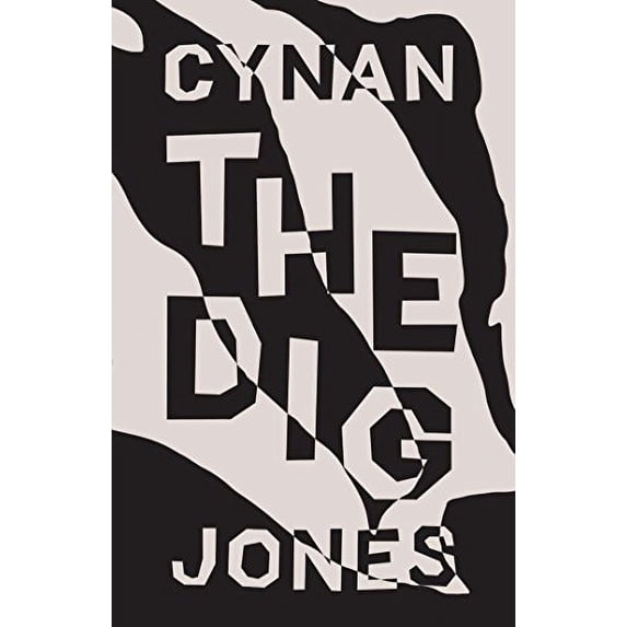 Pre-Owned The Dig (Paperback) 1566893933 9781566893930