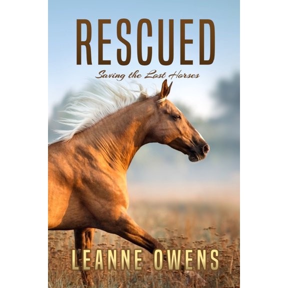 The Dimity Horse Mysteries: Rescued: Saving the Lost Horses (Series #2) (Paperback)