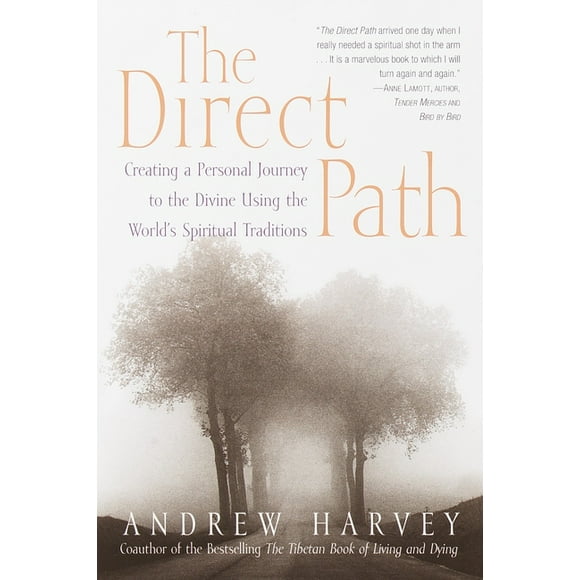 The Direct Path (Paperback)