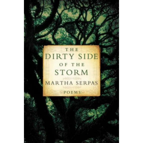 Pre-Owned Dirty Side of the Storm (Paperback) 0393331431 9780393331431