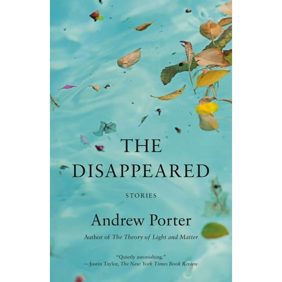 The Disappeared: Stories, (Paperback)
