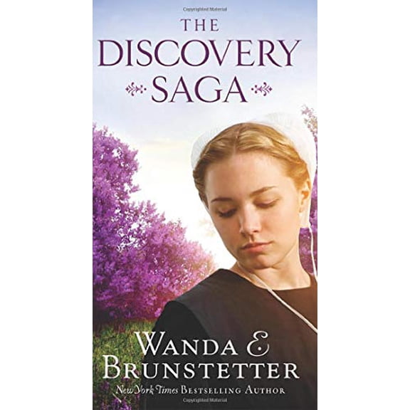 Pre-Owned The Discovery Saga (Paperback) 1643526936 9781643526935