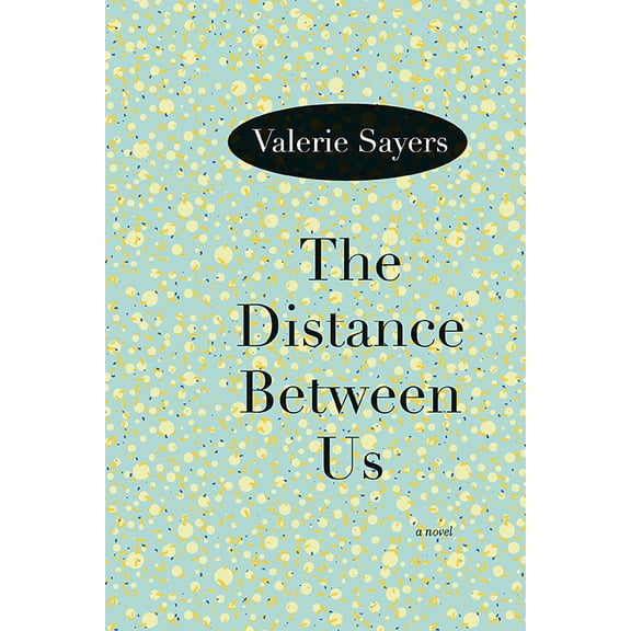 The Distance Between Us : A Novel (Paperback)