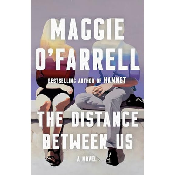 Pre-Owned The Distance Between Us (Paperback) 0593687965 9780593687963