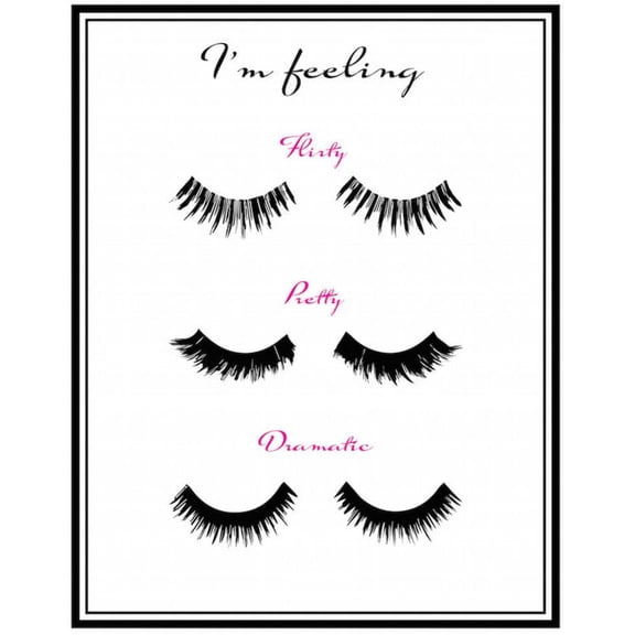 The Distinctions of Pretty Poster
