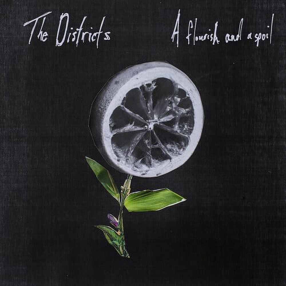 The Districts - Flourish and a Spoil - Rock - CD