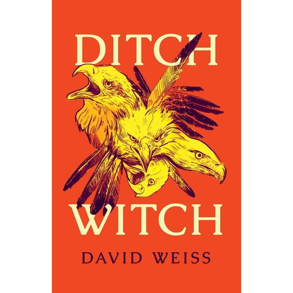 The Ditch Witch: Ditch Witch (Series #1) (Paperback)