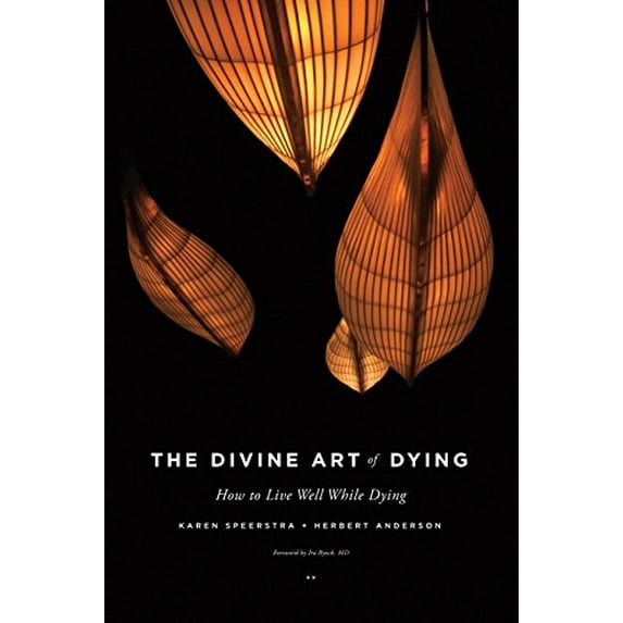 Pre-Owned The Divine Art of Dying : How to Live Well While Dying 9781611250237 Used