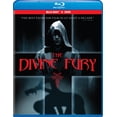 thumbnail image 1 of Divine Fury (Blu-ray + DVD), Well Go USA, Action & Adventure, 1 of 3