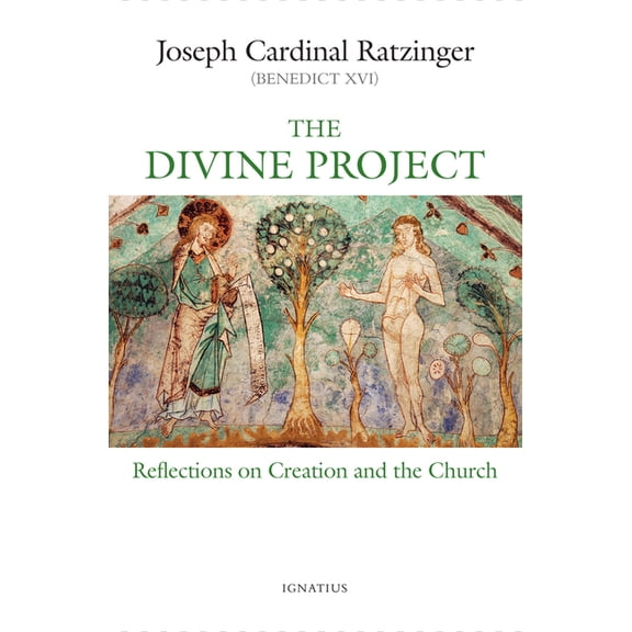 The Divine Project : Reflections on Creation and the Church (Paperback)