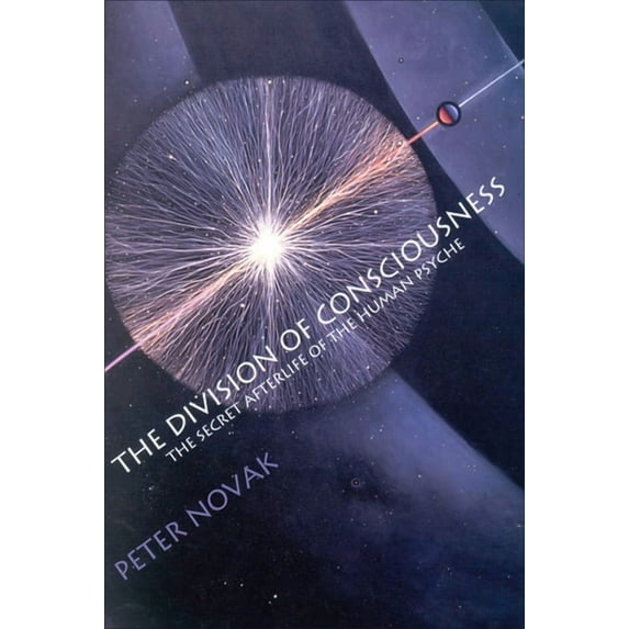 The Division of Consciousness: The Secret Afterlife of the Human Psyche: The Secret Afterlife of the Human Psyche