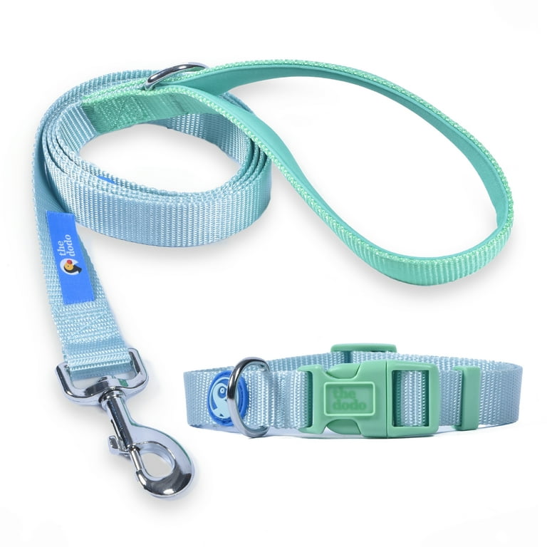The Dodo Blue Green Collar and Leash Set Small