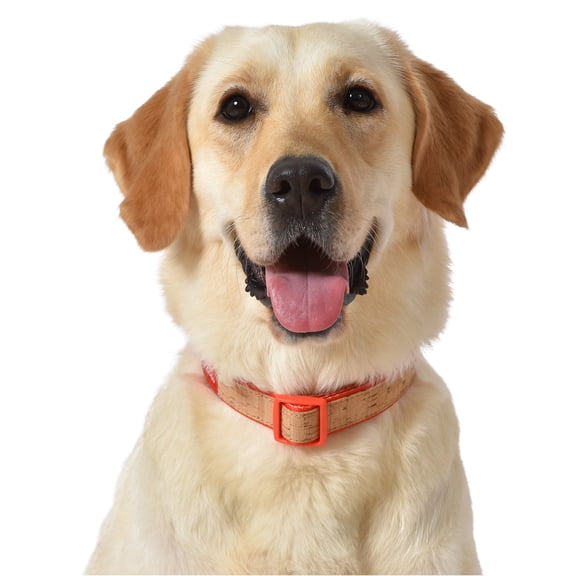 The Dodo Cork Dog Collar, Red, Small, Easy Snap Buckle