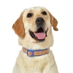 The Dodo Cork Dog Collar, Stripe, Size Medium; Cork Material Collar for Dogs, Everyday Pet Apparel; Adjustable Snap Together, Pinch Release Buckle Collar