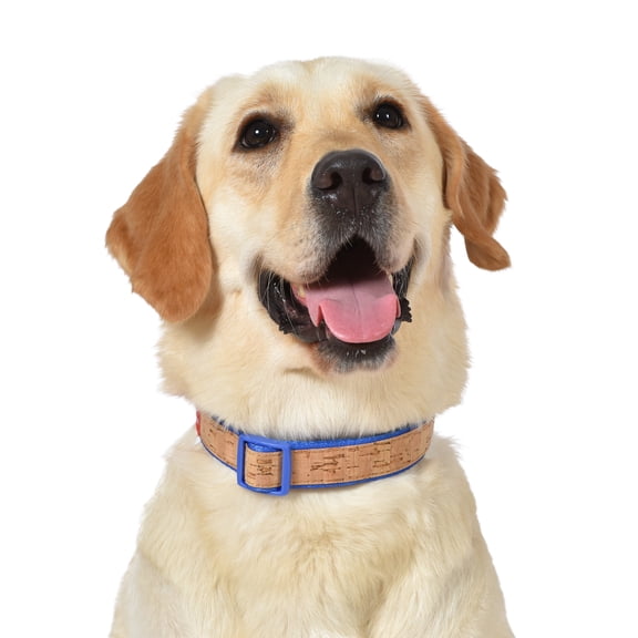 The Dodo: Stripe Cork Dog Collar- Small