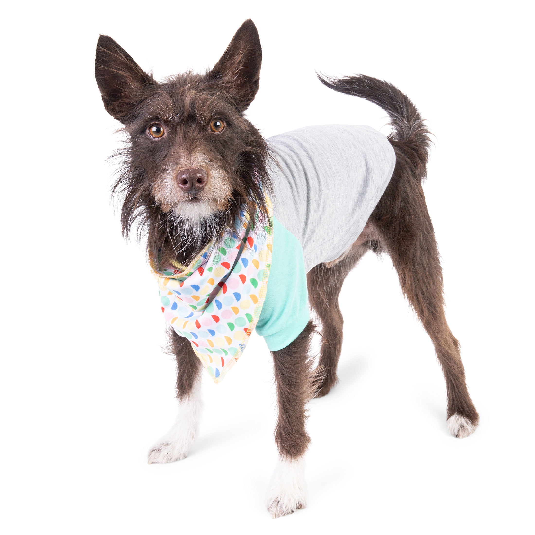 https://i5.walmartimages.com/seo/The-Dodo-Dog-Apparel-Bandana-Colorblock-T-Shirt-Large_63382a40-45f6-4831-9977-a8bafac65d59.95966638dd47c820170244730d382d39.jpeg