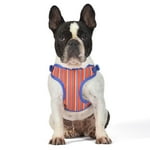The Dodo Dog Harness, Striped, Size Small; Easy Step-in Harness for Dogs; Breathable Mesh Fabric; Snap-Together, Pinch Release Buckle, Ring for Leash Attachment; Everyday Pet Apparel