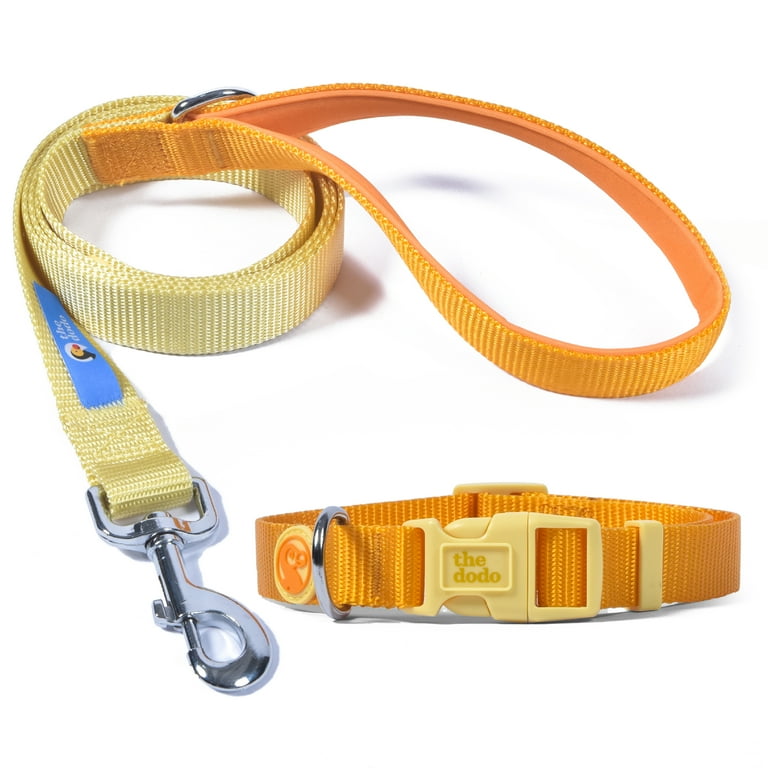 The Dodo Yellow Dog Collar and Leash Set Small