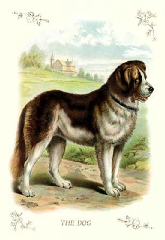 The Dog 1900 Canvas Art - Unknown (24 x 36)