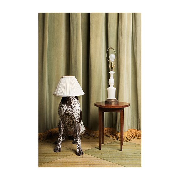 The Dog Lamp Print Wall Art, Modern Wall Decor For Living Room Bedroom, 12x18 UNFRAMED