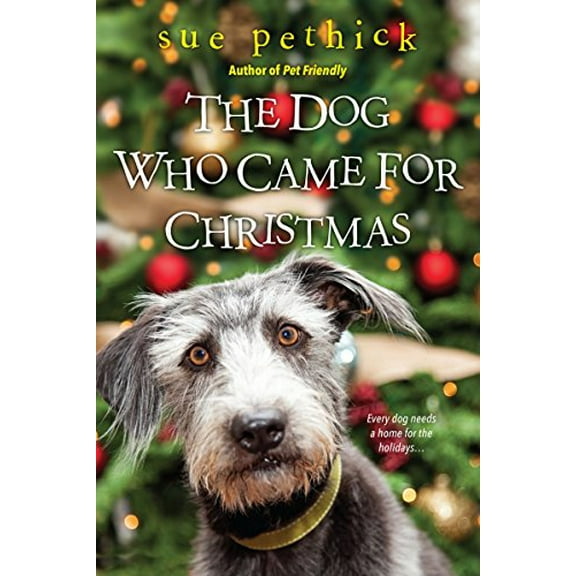 Pre-Owned The Dog Who Came for Christmas (Paperback) 1496709063 9781496709066
