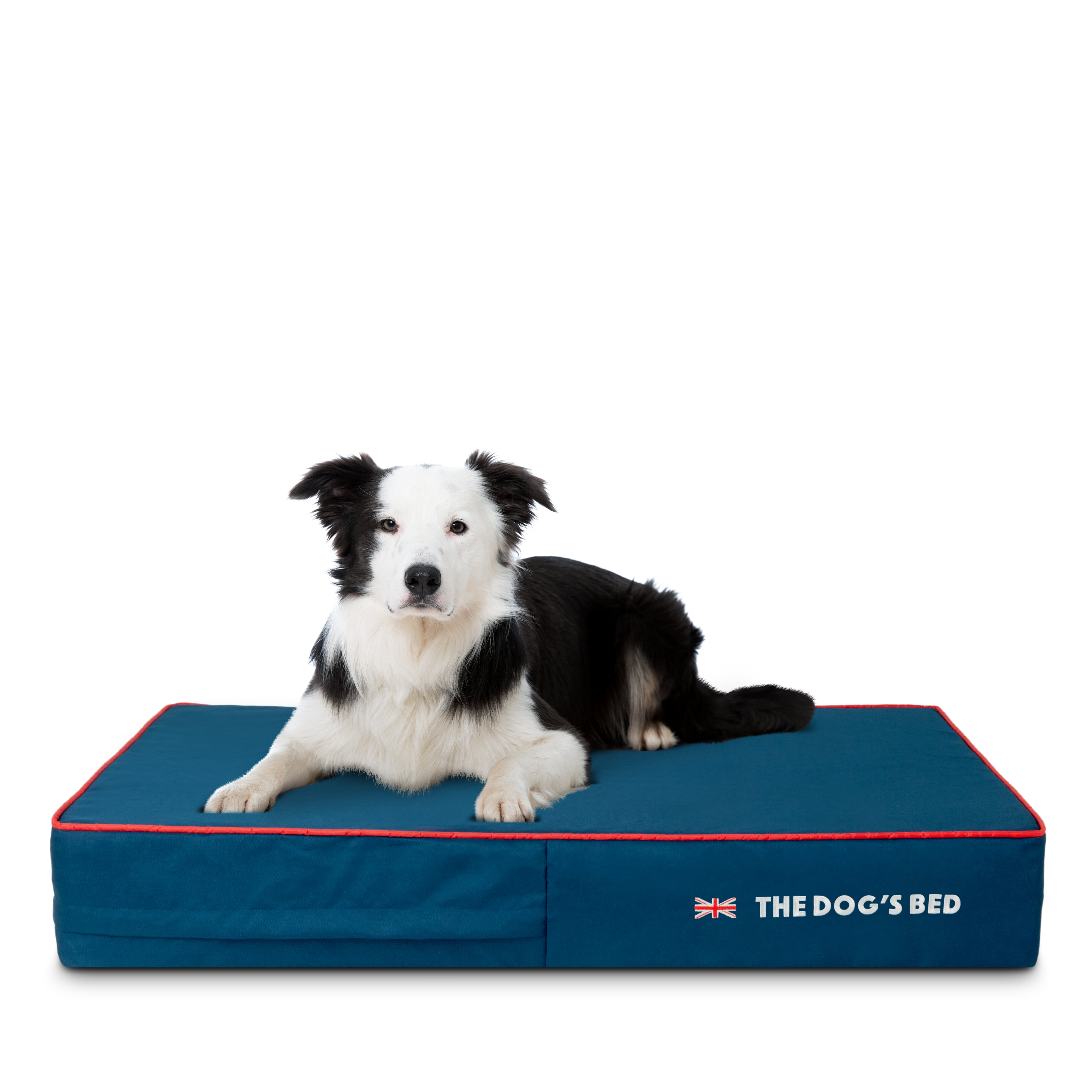 The Dog’s Bed Orthopedic Memory Foam Dog Bed, Large Blue/Red 40x25, UK Centre Flag ,Pain Relief for Arthritis, Hip & Elbow Dysplasia, Waterproof Washable Cover