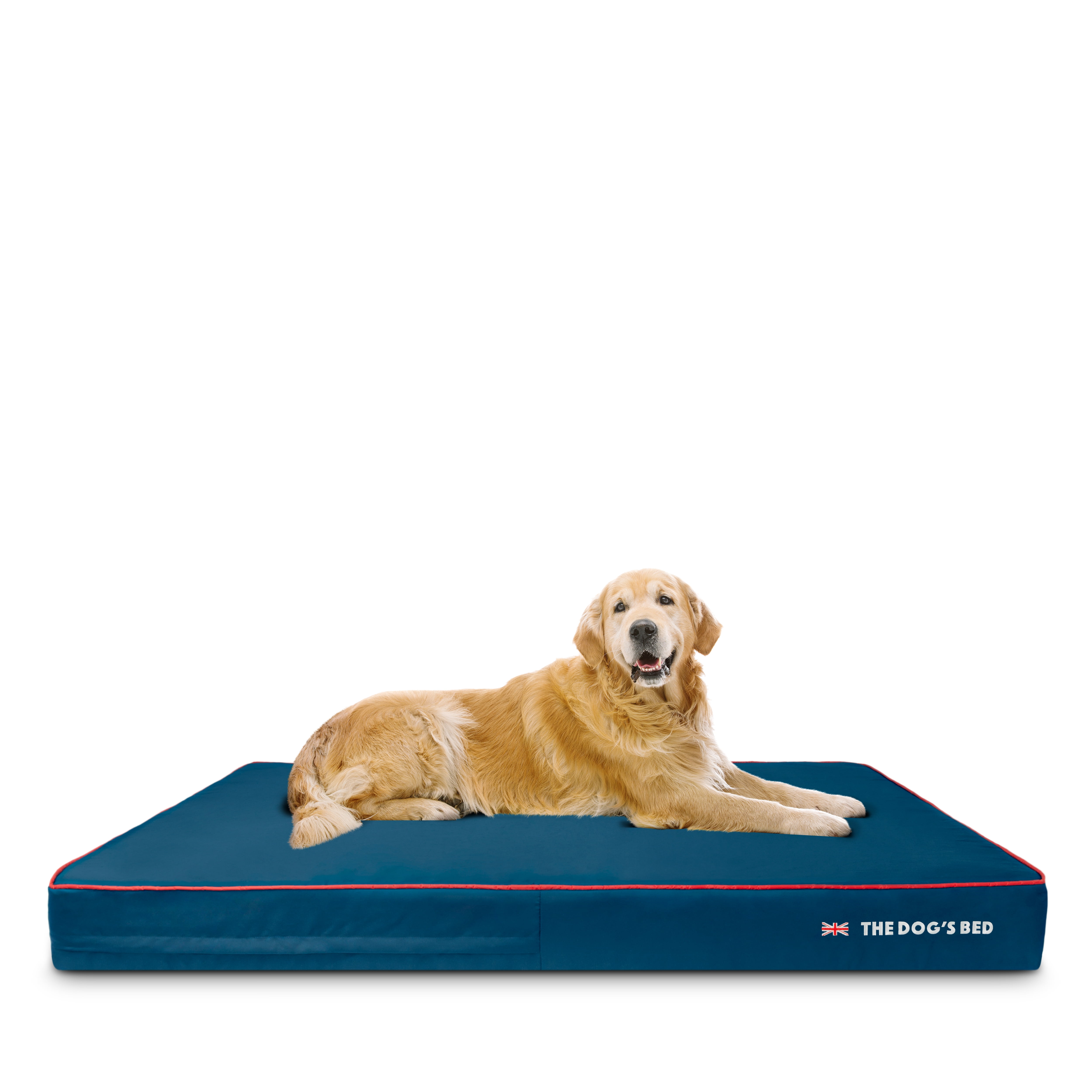 The Dog’s Bed Orthopedic Memory Foam Dog Bed, XXXL Blue with Red Trim 64x44, UK Flag, Pain Relief for Arthritis, Hip & Elbow Dysplasia Waterproof Washable Cover