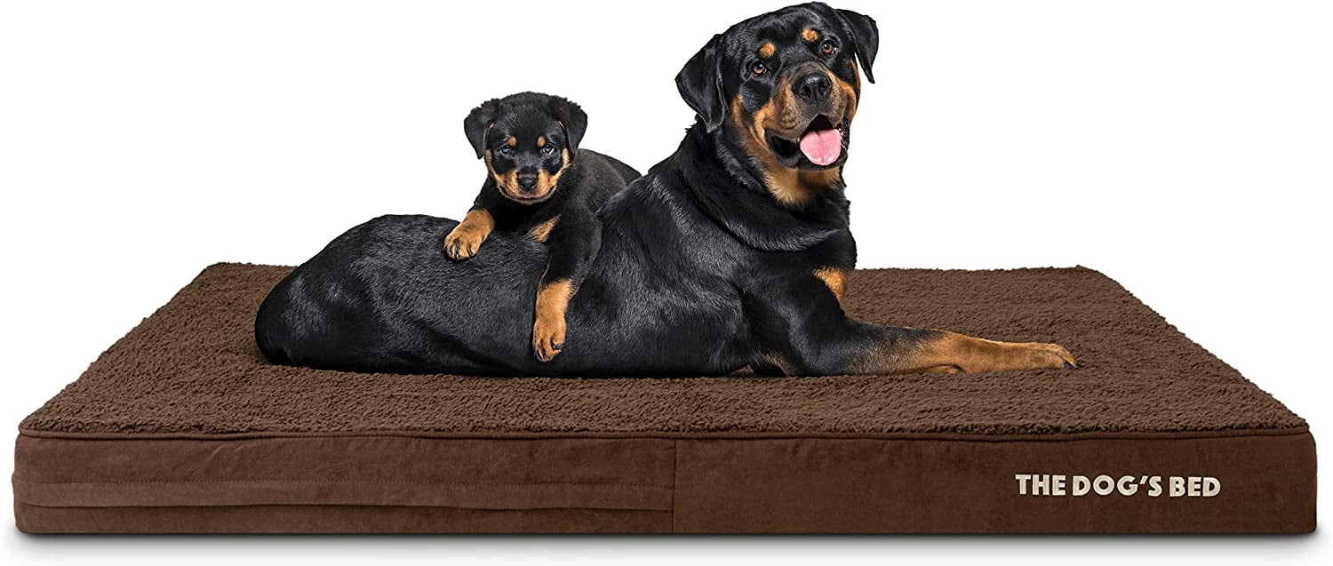 The Dog\u2019s Bed Orthopedic Memory Foam Dog Bed Large Blue/Red 40x25 ...