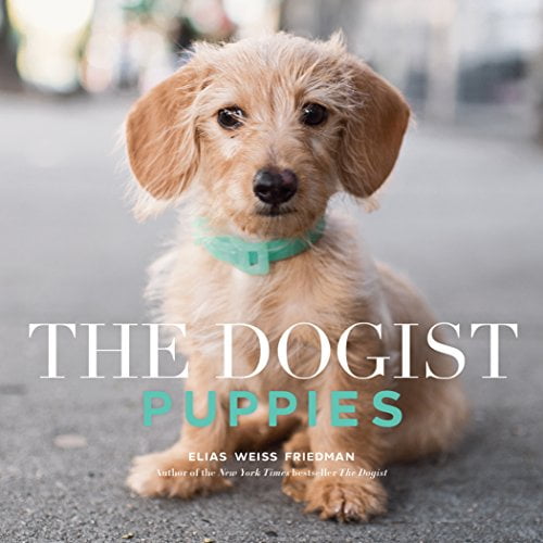 Pre-Owned The Dogist Puppies - Paperback