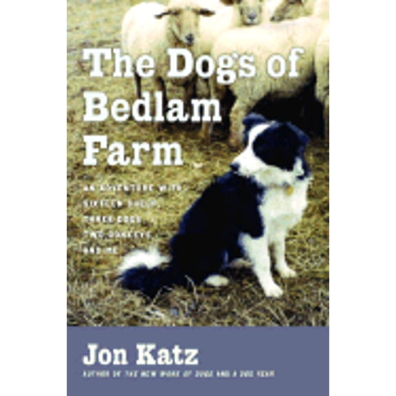 The Dogs of Bedlam Farm : An Adventure with Sixteen Sheep, Three Dogs, Two Donkeys, and Me (Hardcover)