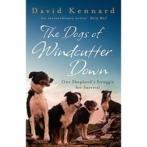 Pre-Owned The Dogs of Windcutter Down (Paperback) 0755312570 9780755312573