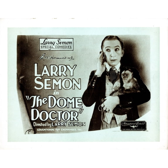 The Dome Doctor Still (20 x 16)