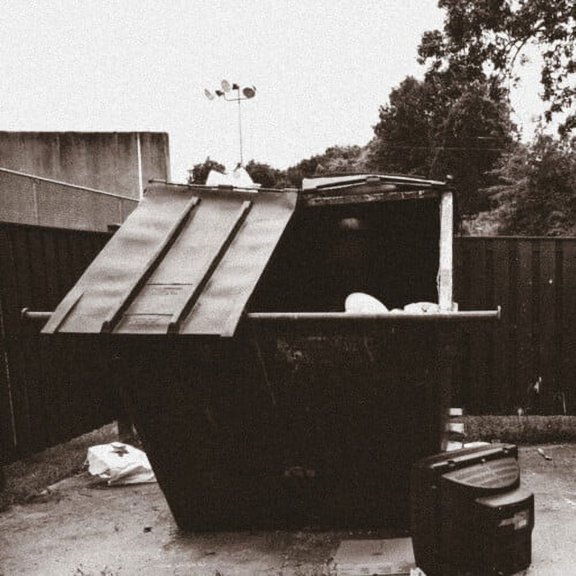 The Doppelgangaz - Dumpster Dive - Music & Performance - Vinyl