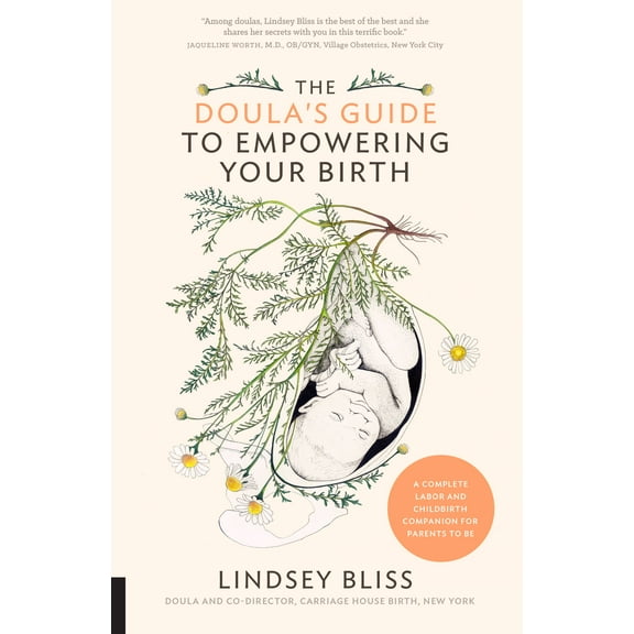 The Doula's Guide to Empowering Your Birth : A Complete Labor and Childbirth Companion for Parents to Be (Paperback)