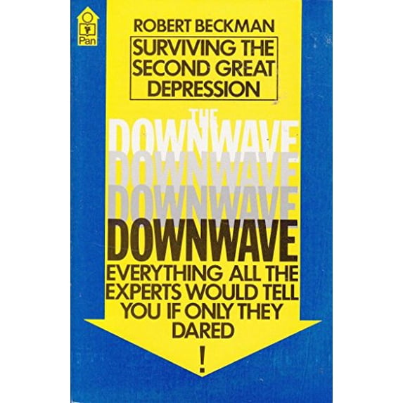 Pre-Owned The Downwave: Surviving the Second Great Depression Paperback