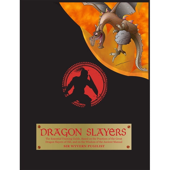 Pre-Owned The Dragon Slayers : Essential Training Guide for Young Dragon Fighters (Paperback)