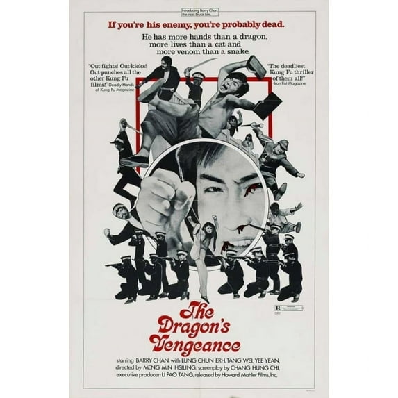The Dragon's Executioner Movie Poster Print (27 x 40)