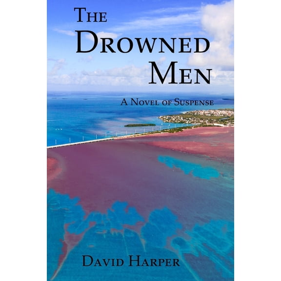 The Drowned Men : A Novel of Suspense (Paperback)