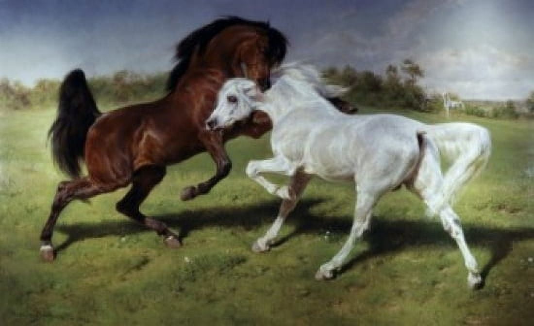 The Duel Rosa Bonheur (1822-1899 French) Canvas Art - Rosa Bonheur (24 x 36)